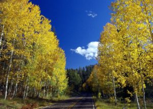Things to Do in Aspen | Whitman Fine Properties