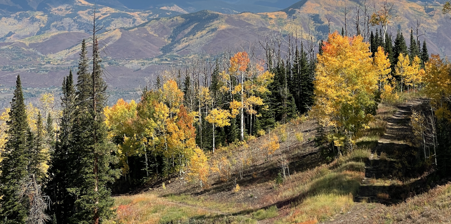 Aspen mountain fall colors